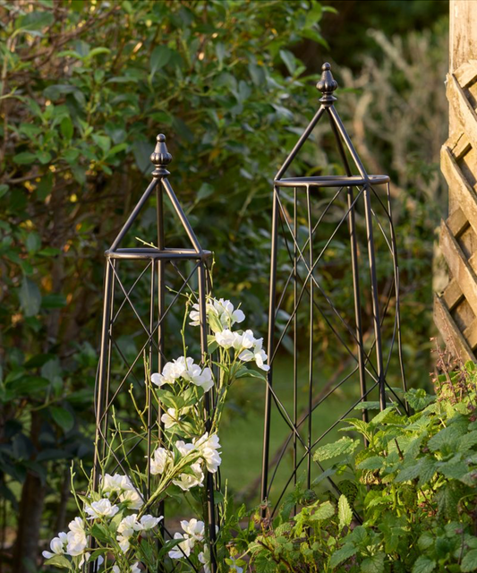 IVY PLANT TRELLIS - SET OF THREE