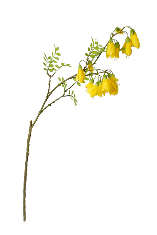 KOWHAI SPRAY