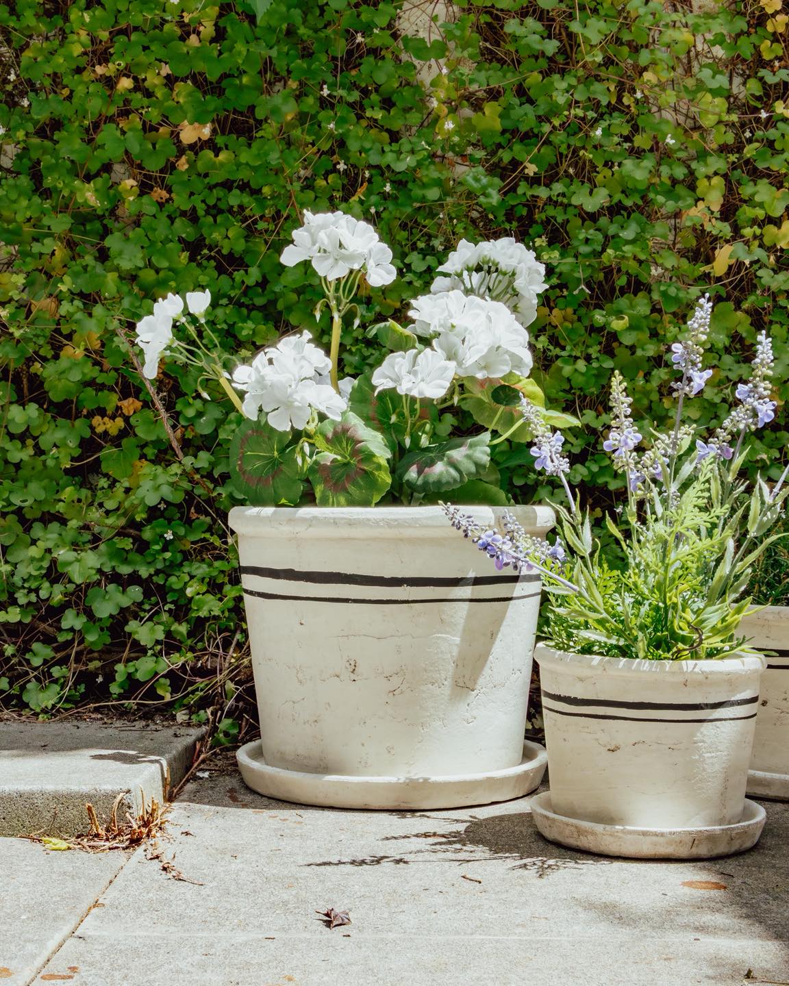 LISBON HERB POT - LARGE