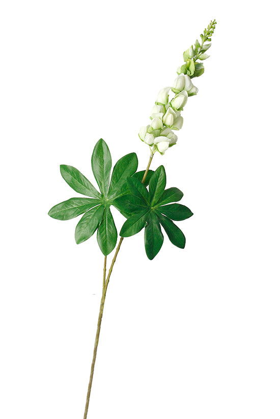 LUPIN SPRAY - CREAM
