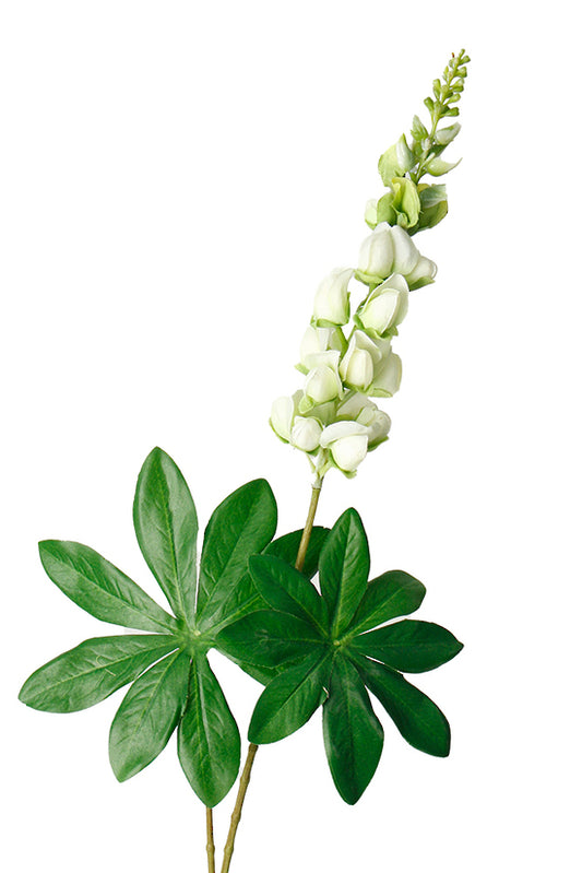 LUPIN SPRAY - CREAM