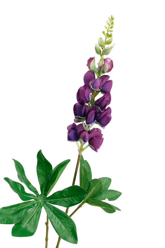 LUPIN SPRAY - PURPLE