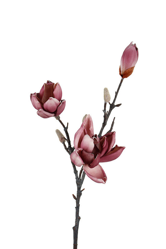 MAGNOLIA SPRAY 79CM STEM - PORT WINE