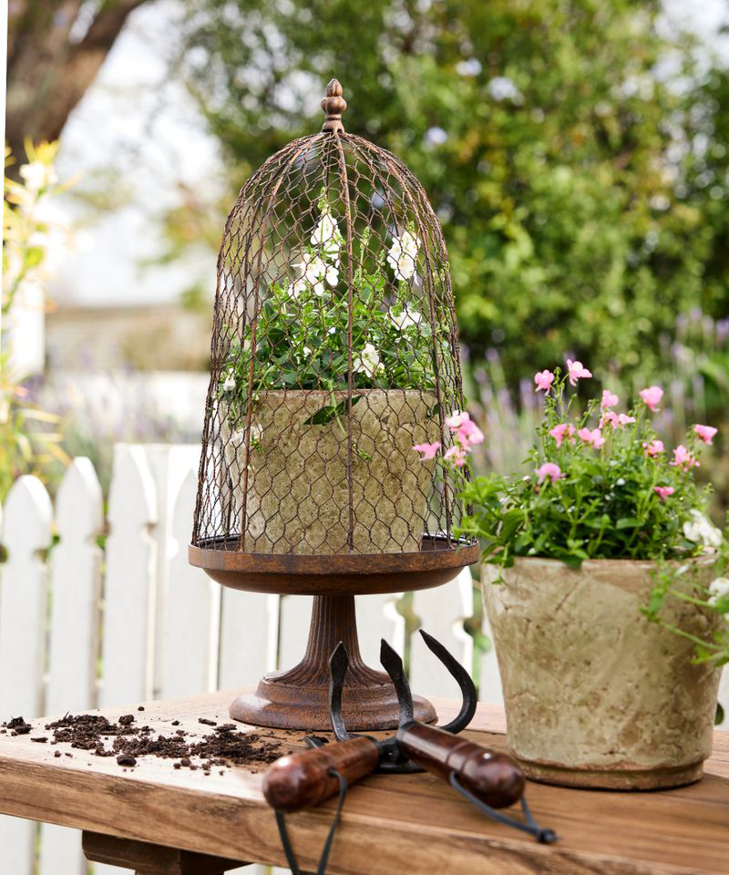 PRE ORDER: MAISON GARDEN CLOCHE