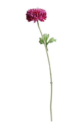 MUM SPRAY - BEAUTY