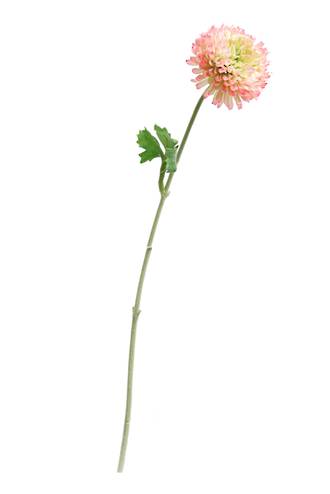 MUM SPRAY - CREAM/PINK