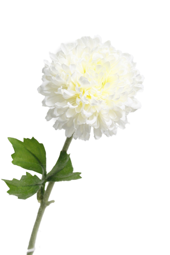 MUM SPRAY - WHITE