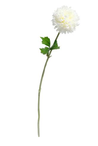 MUM SPRAY - WHITE
