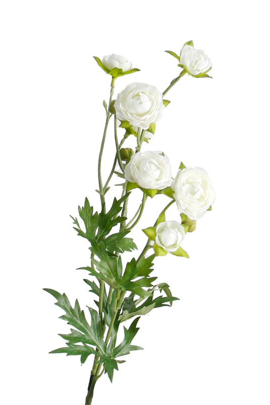 PETITE RANUNCULOUS SPRAY - WHITE