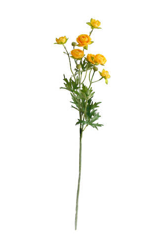PETITE RANUNCULOUS SPRAY - YELLOW