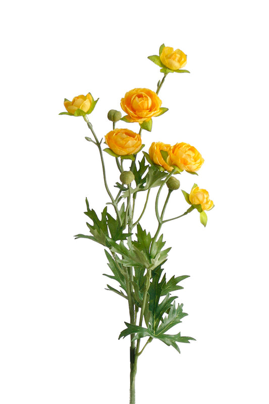 PETITE RANUNCULOUS SPRAY - YELLOW