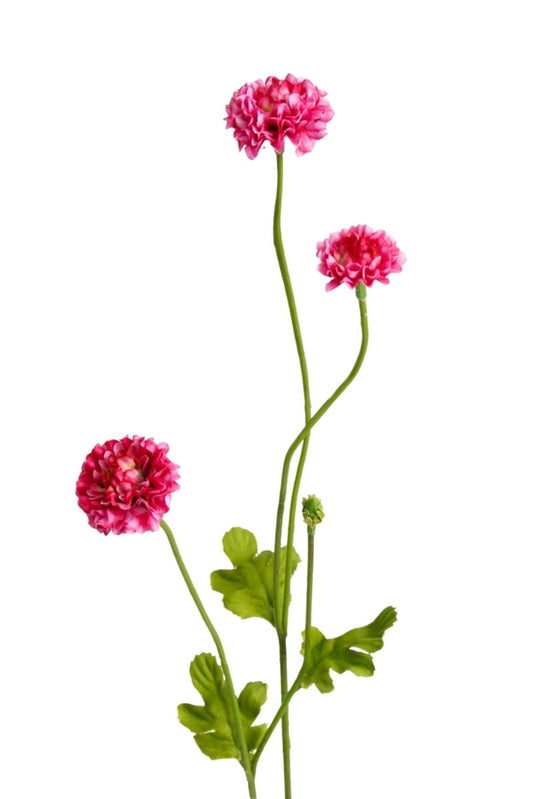 POMPOM SPRAY - BEAUTY