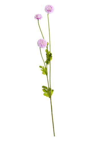 POMPOM SPRAY - LILAC