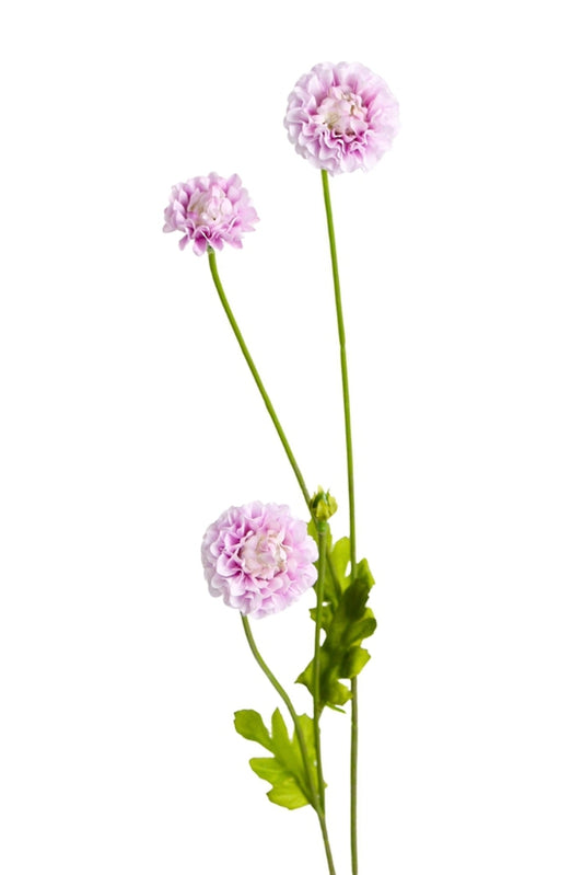 POMPOM SPRAY - LILAC