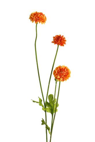 POMPOM SPRAY - ORANGE