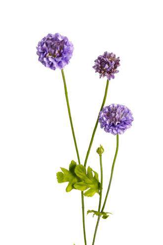 POMPOM SPRAY - PURPLE