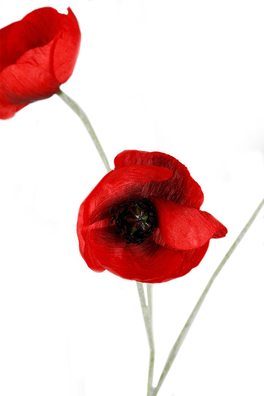 POPPY SPRAY - RED