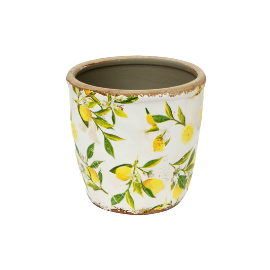 PLANTER & LUCKY DIP TULIP BULB SET