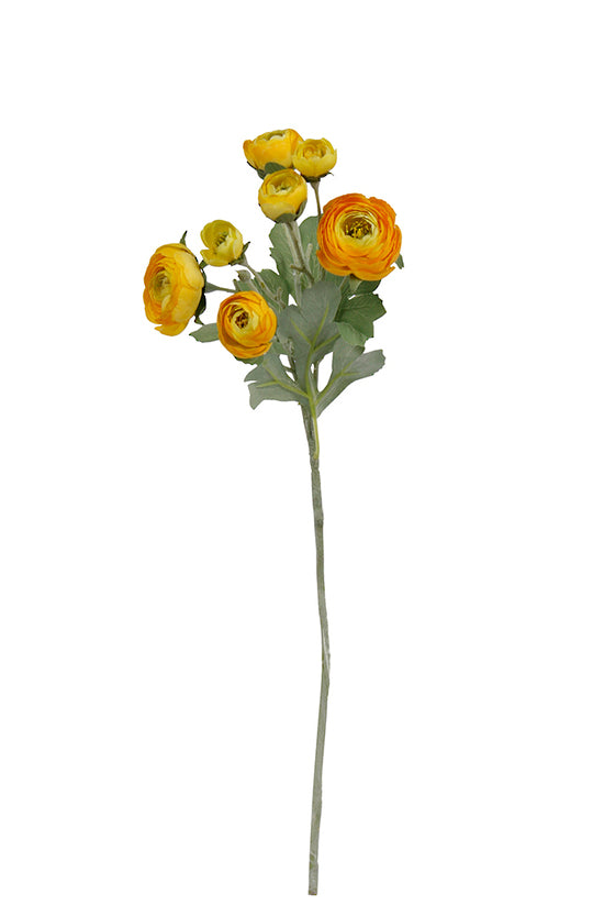 RANUNCULUS SPRAY - LIGHT YELLOW