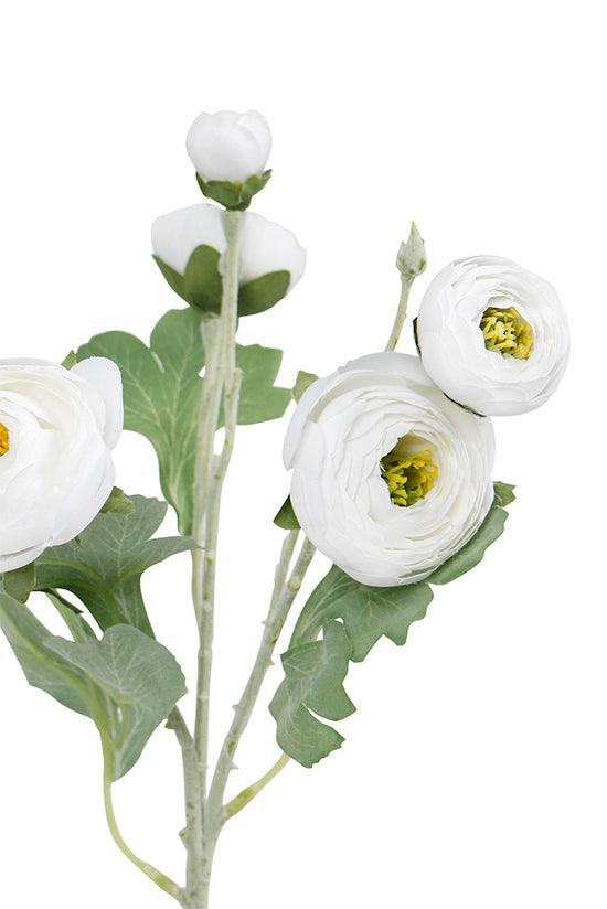 RANUNCULUS SPRAY - WHITE – Copperblue Home & Décor