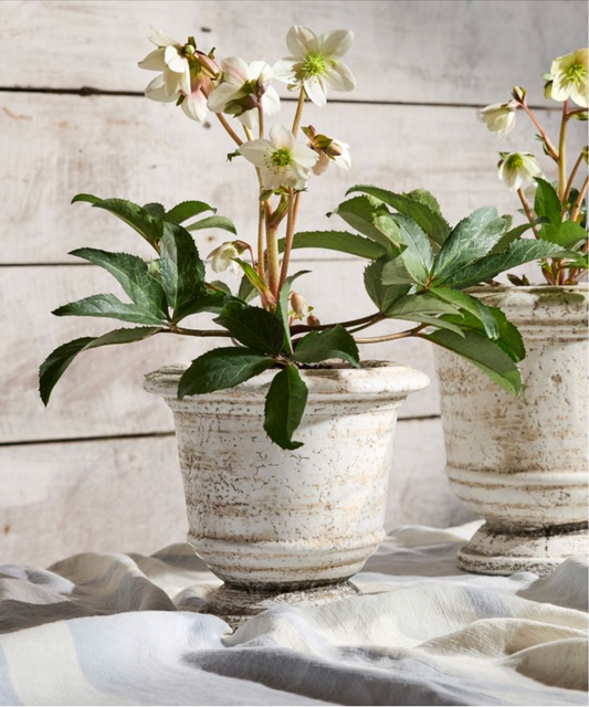 RUSTIC WHITE URN PLANTER - LARGE