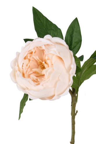 SADIE REAL TOUCH PEONY - CHAMPAGNE