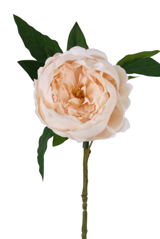 SADIE REAL TOUCH PEONY - CHAMPAGNE