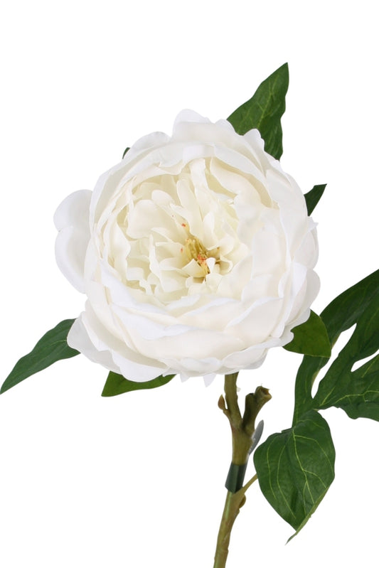 SADIE REAL TOUCH PEONY - WHITE