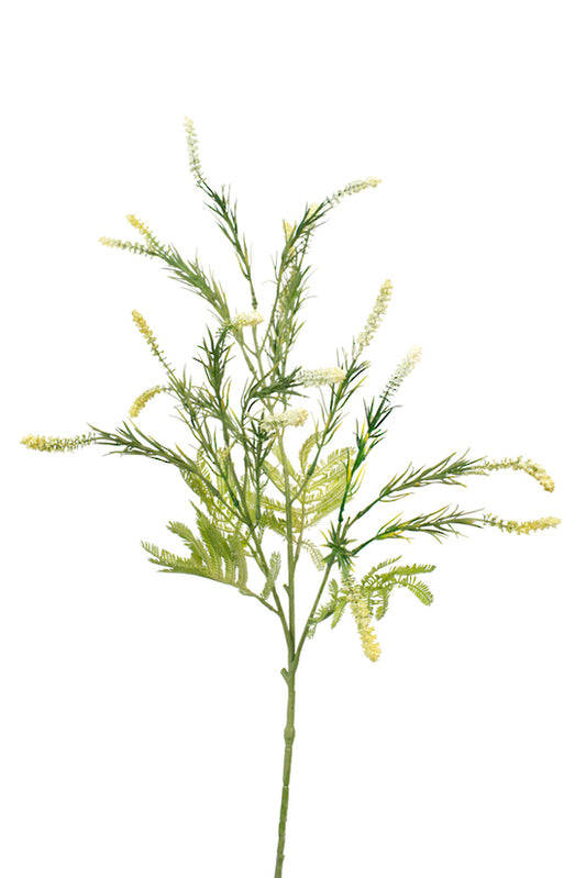 SETARIA SPRAY - CREAM