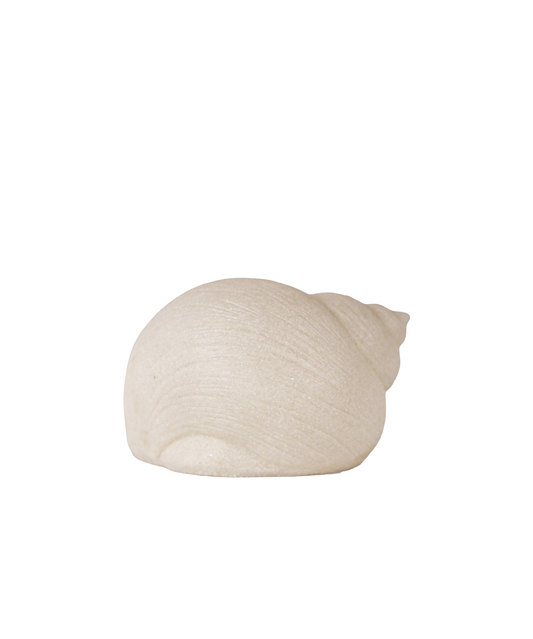 SNAIL SHELL DECORATIVE LIGHT