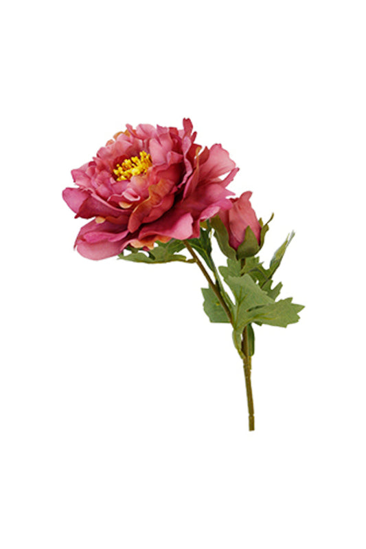 SOPHIE PEONY - DARK PINK