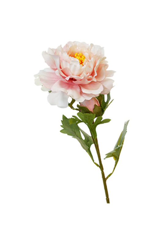 SOPHIE PEONY - LIGHT PINK