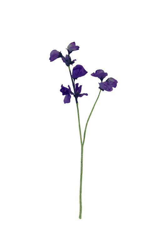 SWEET PEA - PURPLE
