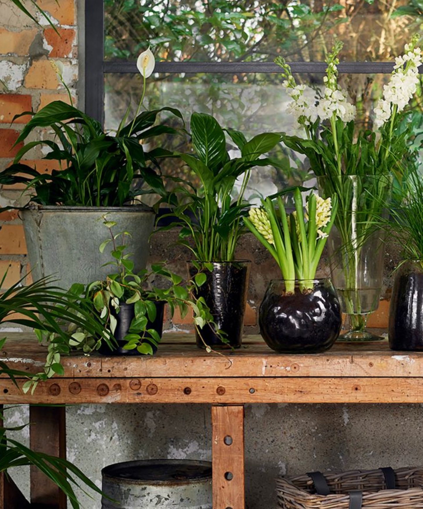 DAPPLED CLEAR GLASS CONICAL VASE