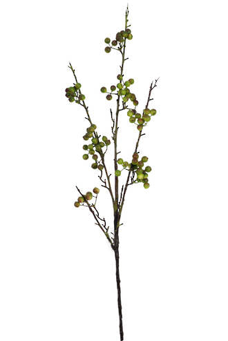 TALL BERRY BRANCH - GREEN