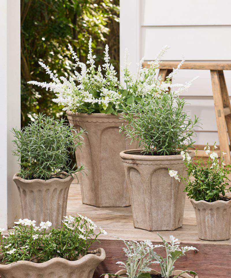 PRE ORDER: TERRA ARC PLANTER - LARGE