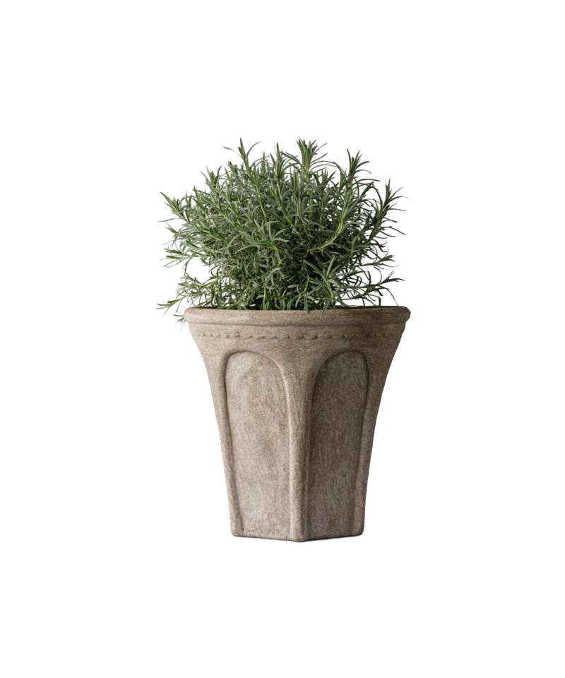 PRE ORDER: TERRA ARC PLANTER - MEDIUM