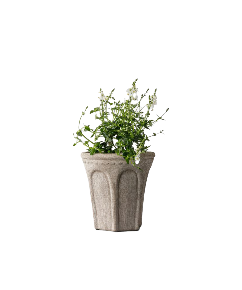 PRE ORDER: TERRA ARC PLANTER - SMALL