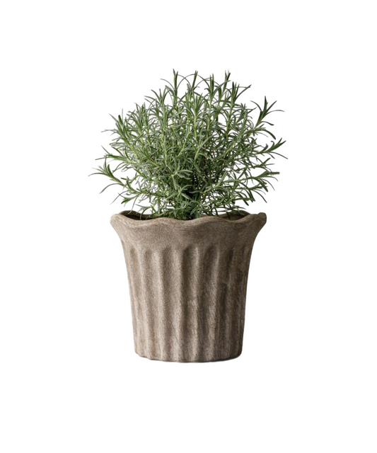 PRE ORDER: TERRA FLUTED PLANTER - MEDIUM