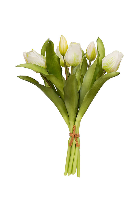 TULIP BOUQUET - WHITE GREEN