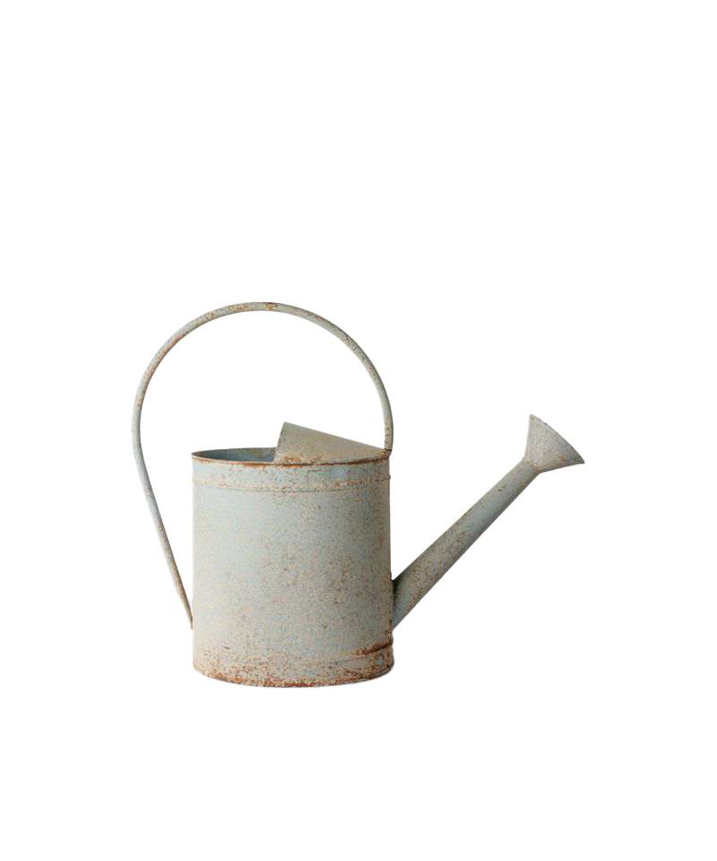 PRE ORDER: VINTAGE BLUE WATERING CAN - ANTIQUE BLUE