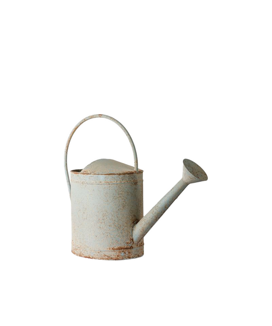 PRE ORDER: VINTAGE BLUE WATERING CAN - ANTIQUE BLUE
