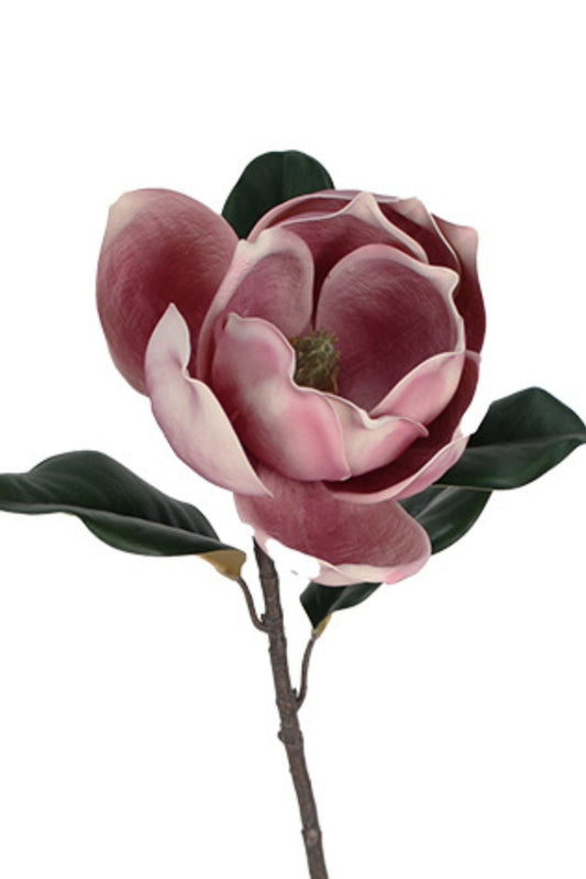 VINTAGE MAGNOLIA 73CM STEM - DARK MAUVE