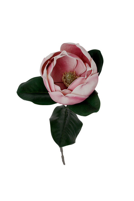 VINTAGE MAGNOLIA 73CM STEM - DARK MAUVE
