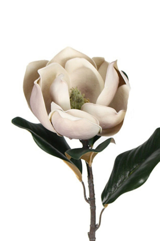 VINTAGE MAGNOLIA 73CM STEM - LIGHT MAUVE