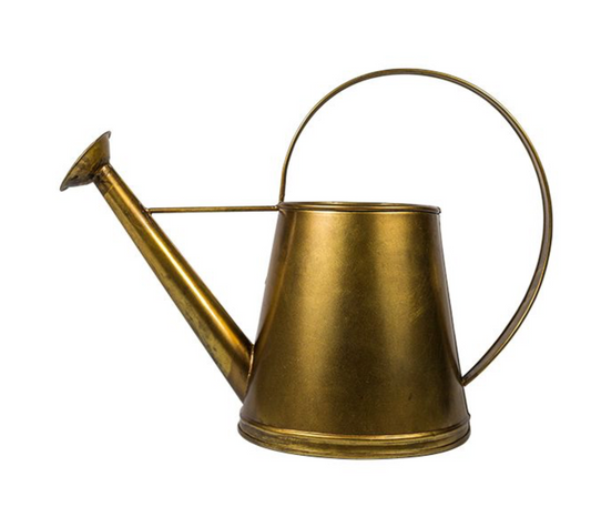 ALLOY GOLD WATERING CAN